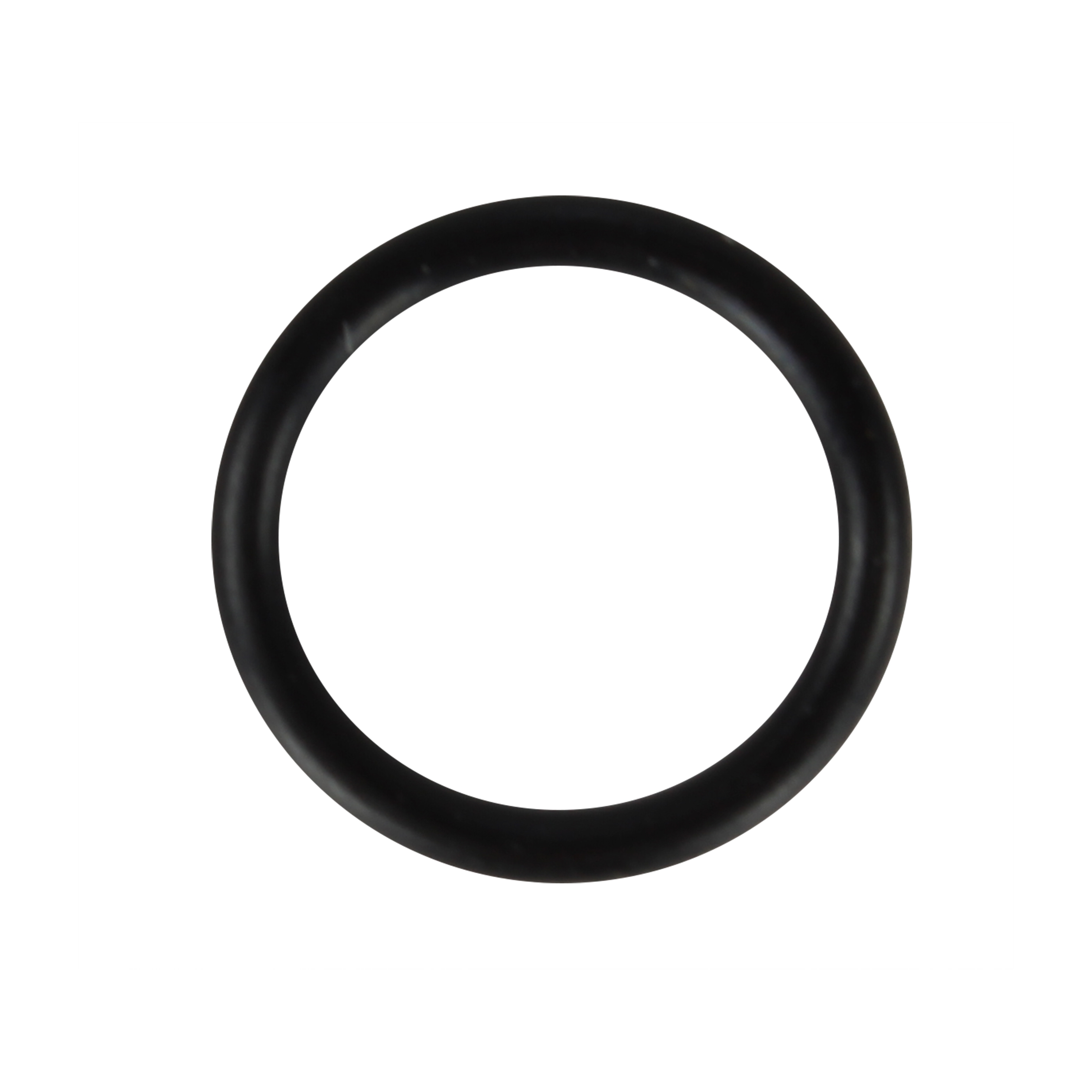 O-ring, Larger, P1000G, P1000L (Pipette Supplies) 1 O-ring, Larger, P1000G, P1000L (Pipette Supplies)