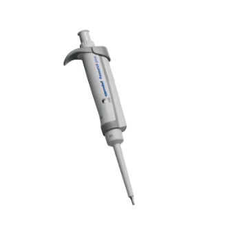 A Research Plus Pipette, Single Channel, Variable Volume (0.5-10μL), Medium Gray by Eppendorf, isolated on a white background.