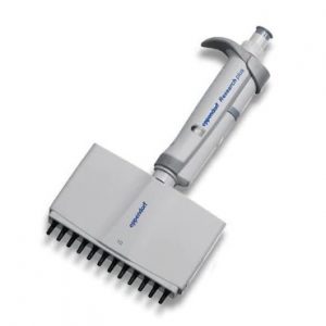 The Eppendorf Research Plus Pipette is a multichannel pipette with 12 channels, medium gray color, and a 0.5-10μL volume range, designed for precise liquid handling in scientific experiments.