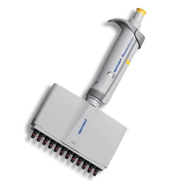 EP 3125000044_ An Eppendorf Research Plus Multichannel Pipette, 12 channels, medium gray, 0.5-10μL, is displayed on a white background.
