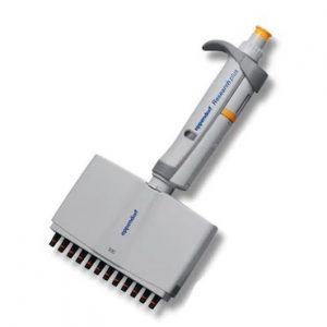 The Research Plus Pipette, Multichannel, 12 Channel, Medium Gray, 0.5-10μL (Eppendorf) enables efficient simultaneous liquid handling in multiple wells with its grey body and 12-channel design.