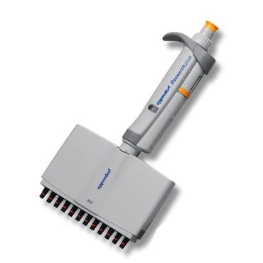 EP 3125000060_ The Research Plus Pipette, Multichannel, 12 Channel, Medium Gray, 0.5-10μL (Eppendorf) enables efficient simultaneous liquid handling in multiple wells with its grey body and 12-channel design.