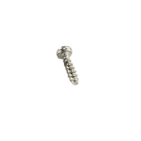 TS_0202020_1 A single Finnpipette / Fisherbrand Screw (Thermo Scientific) is displayed on a plain white background, highlighting its dependable silver metal construction.