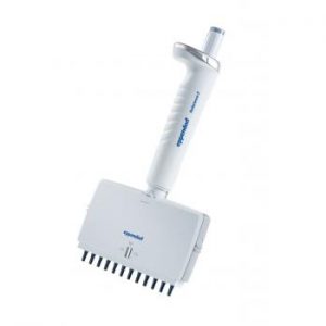 Reference 2 Pipette, Multichannel, 12 Channel, 0.5-10&mu;L, Medium Gray (Eppendorf)