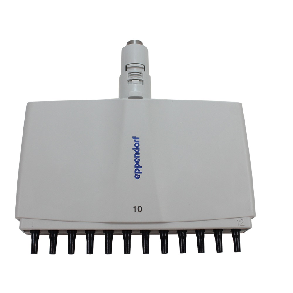 EP4861607009 A white Eppendorf Xplorer Plus lower part, multichannel pipette head with eight dispensing channels for 50–1200 μL volumes.