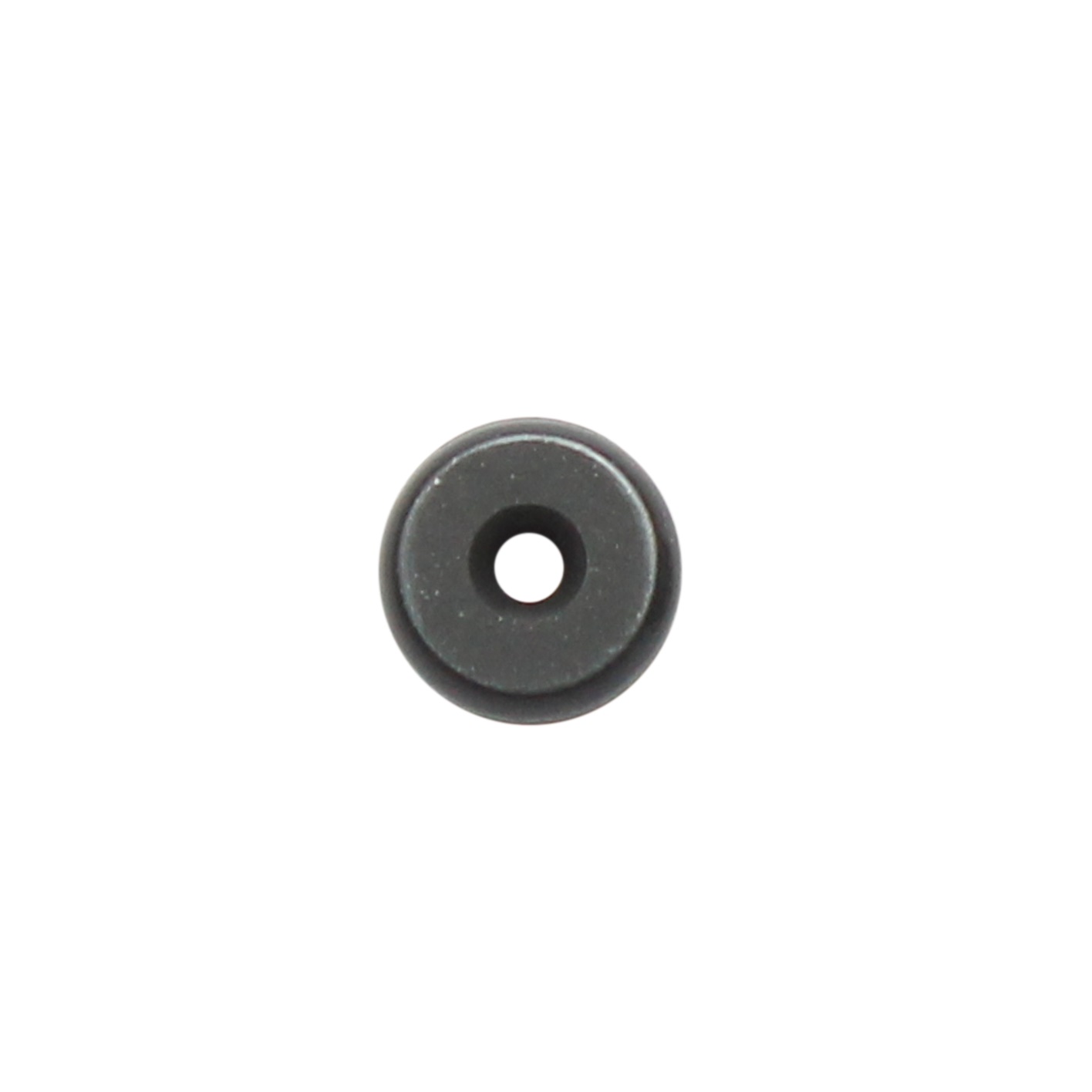 A small, round, black FastPette Pipette Controller O-ring (Labnet) with a central hole, photographed on a plain white background. Commonly used as a replacement part in Labnet FastPette assemblies.