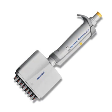 EP 3125000036_ Research Plus Pipette, Multichannel, 8 Channel, Yellow, 10-100μL (Eppendorf)