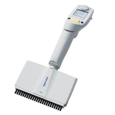 The Xplorer Plus Pipette, Multichannel, 24 Channel, Light Yellow, 5-100μL (Eppendorf) is a digital-display pipette designed for precise dispensing of liquid volumes into multiple wells simultaneously.