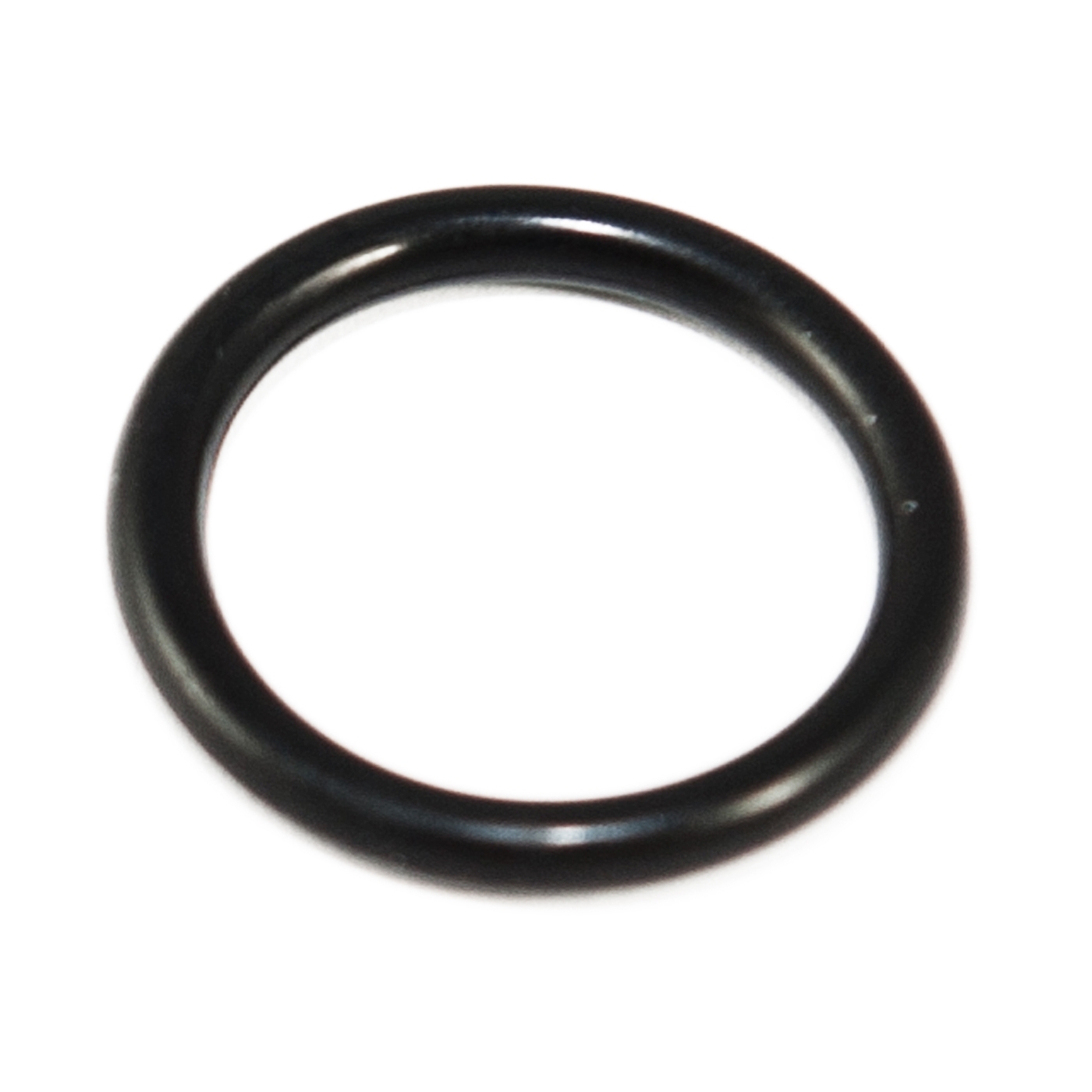 Rainin Pipet-Lite O-ring, Single Channel, 20mL (Pipette Supplies)