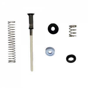 Five metal and plastic components—three springs, a coiled rod, and two round seals—from the Labnet Piston Assembly Kit, Low Force, Single Channel, 200μL/250μL (Newer) are arranged on a white background.