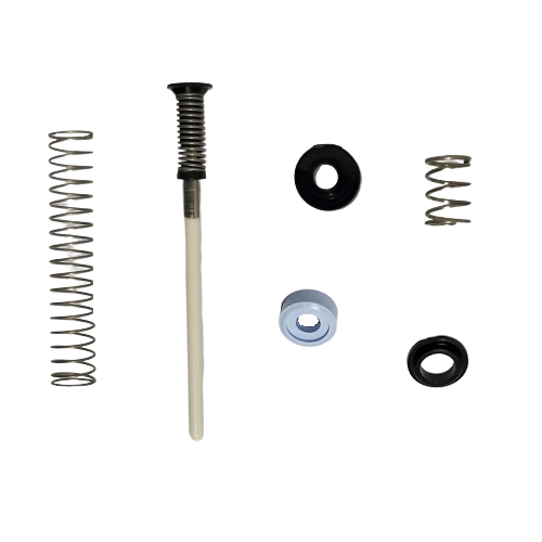 Five metal and plastic components—three springs, a coiled rod, and two round seals—from the Labnet Piston Assembly Kit, Low Force, Single Channel, 200μL/250μL (Newer) are arranged on a white background.