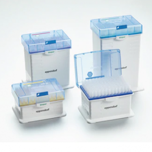 Eppendorf