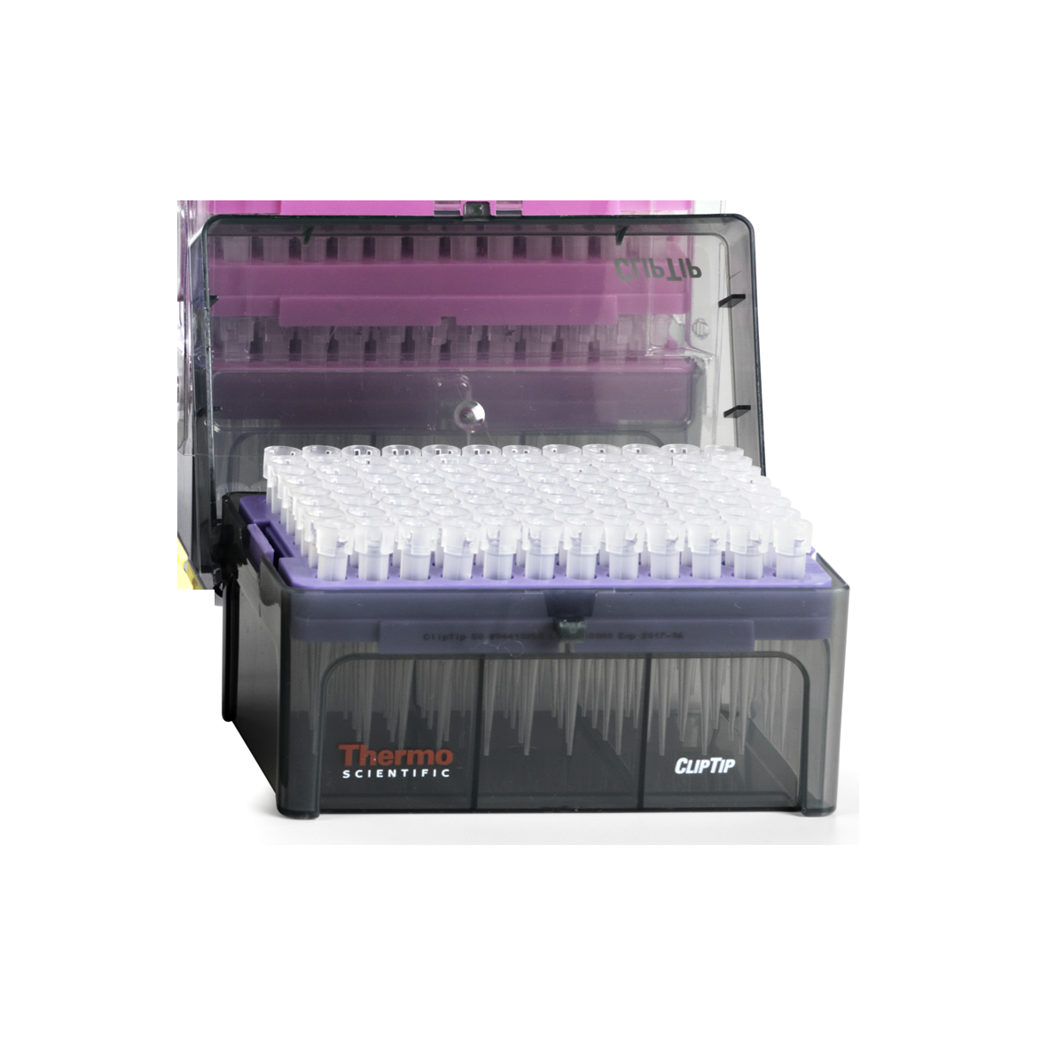 ClipTip 50 Rack, 5-50μL, Violet, 10 x 96/Rack (Thermo Scientific)