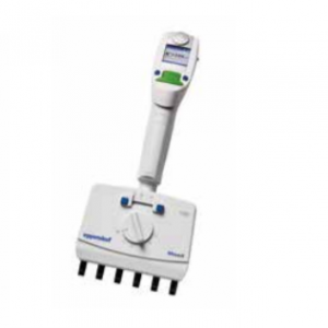Xplorer Plus Move It Adjustable Tip Spacing Pipette, 4-Channel, Green, 50-1200µL (Eppendorf)