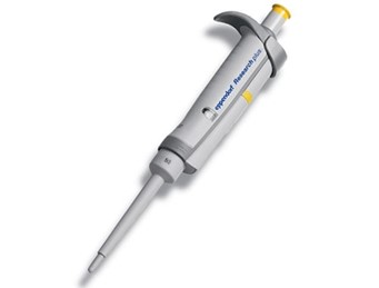 A gray and white Eppendorf Research Plus Single Channel Fixed Volume Pipette, 10μL, with a yellow button, designed for precise liquid measurement and transfer.