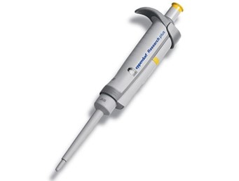 A yellow Eppendorf Research Plus Pipette, Single Channel, Fixed Volume (10μL), designed for precise measurement and transfer of small liquid volumes in laboratory settings.