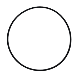 A simple, black Rainin Cylinder O-Ring, 20mL (Rainin), forms a perfect unbroken circle against a white background.