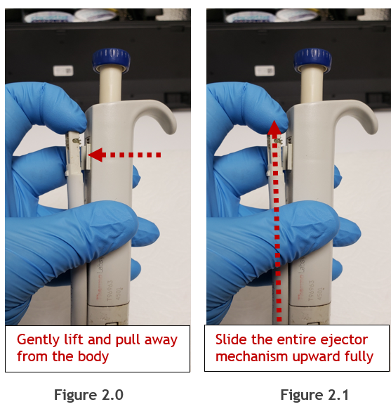 Figure 2.0 and 2.1.Gently lift and pull away from the body. Slide the entire ejector mechanism upward fully.
