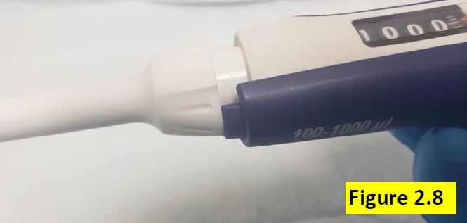 Secured Fisherbrand Elite tip ejector