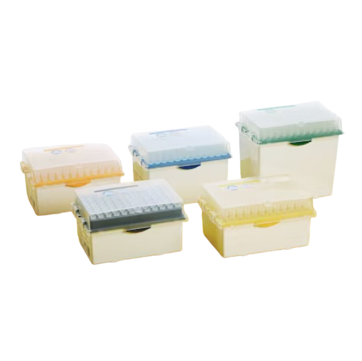 ep Dualfilter TIPS BioBased Reloads, Sterile, 0.1-10μL M, Medium, Medium Gray, 960 Tips (Eppendorf)