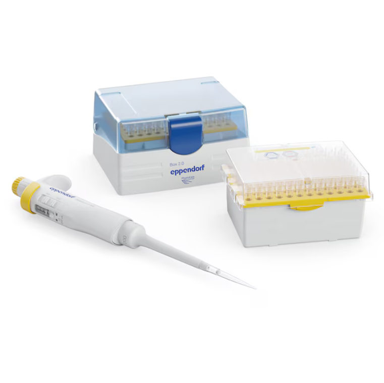 5.4. Farbpipette : Pipette bei Word – AVXVI