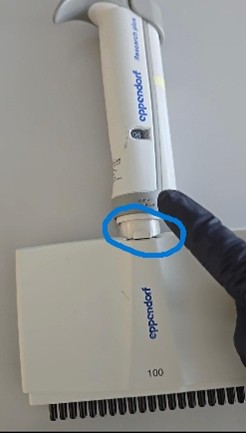 A gloved hand points at the lever of a Eppendorf Research Plus pipette, which is partially resting on a white surface.