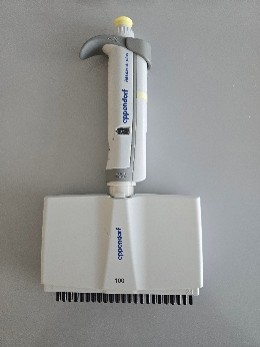 A multichannel Eppendorf Research Plus pipette with a grey handle, in need of nose cone replacement