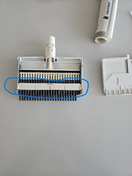 A disassembled pipette , with the nose cone section indicated by a blue mark and the cover removed, lies on a white surface