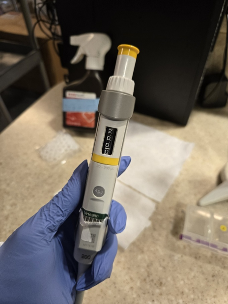 A gloved hand holds a eppendorf research plus pipette set to 200 microliters on a lab bench with a spray bottle visible in the background.